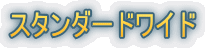 �X�^���_�[�h���C�h