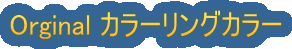 Orginal �J���[�����O�J���[