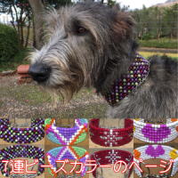 ○○○○○○○○イメージ